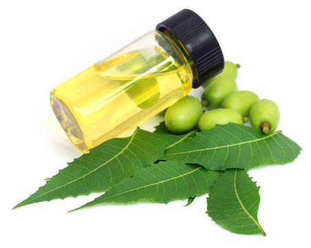 Ayurvedic Herbs